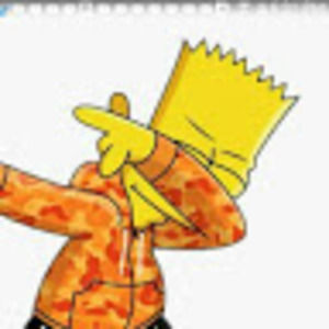 Meet your Posher, Ryder